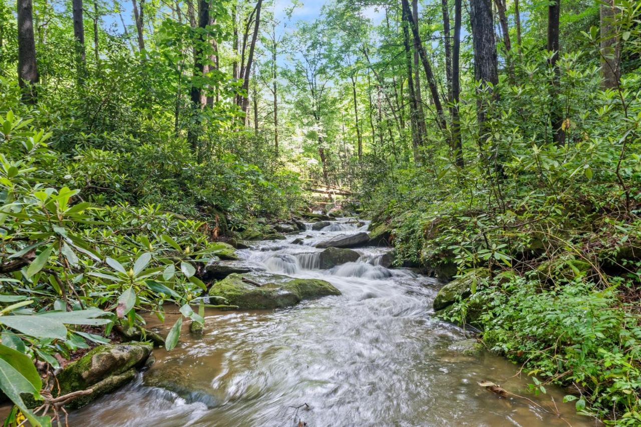 Falling Waters At Rumbling Bald Lake Lure Eksteriør bilde